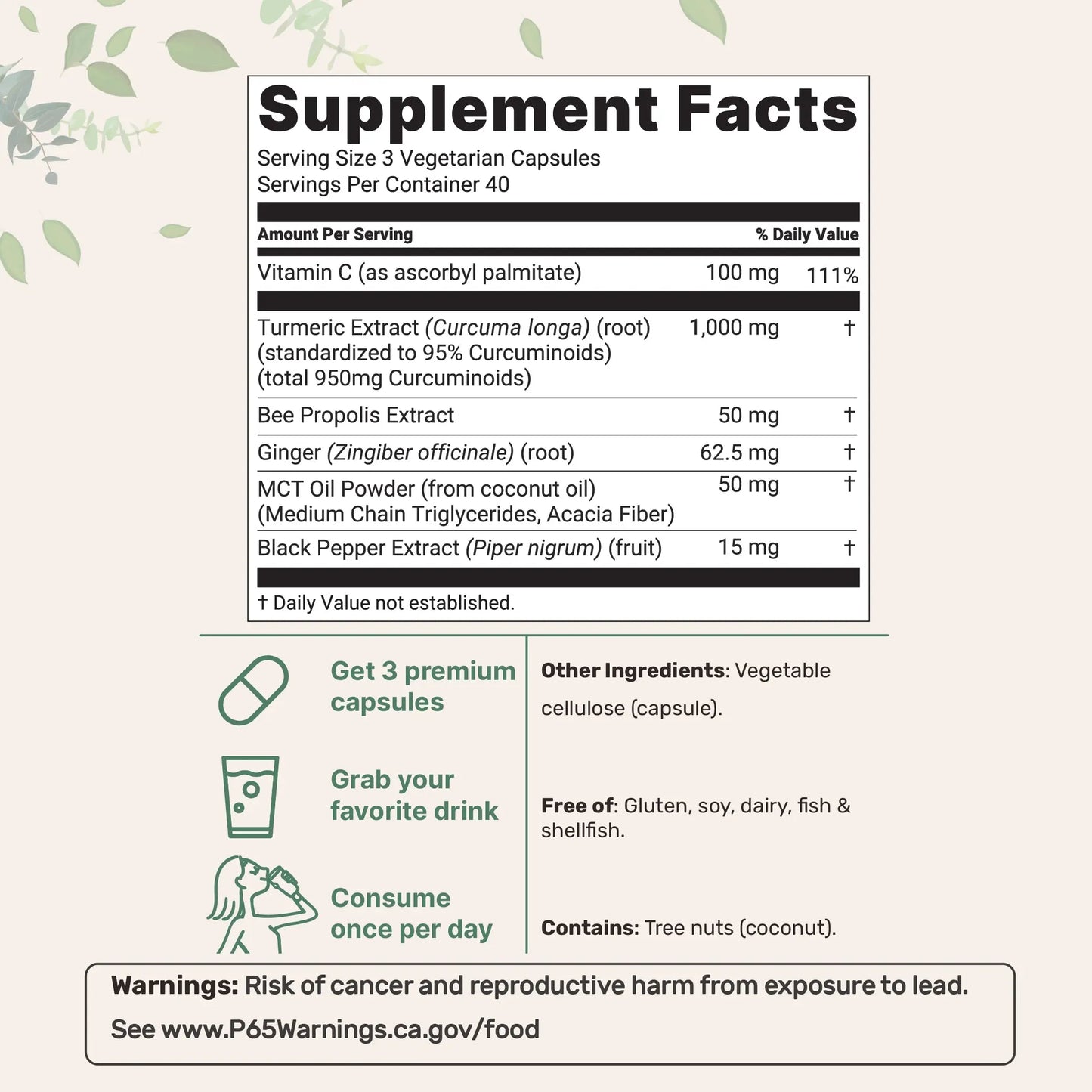 Turmeric Curcumin 1000mg — 95% Curcuminoids with Black Pepper (120 Capsules)
