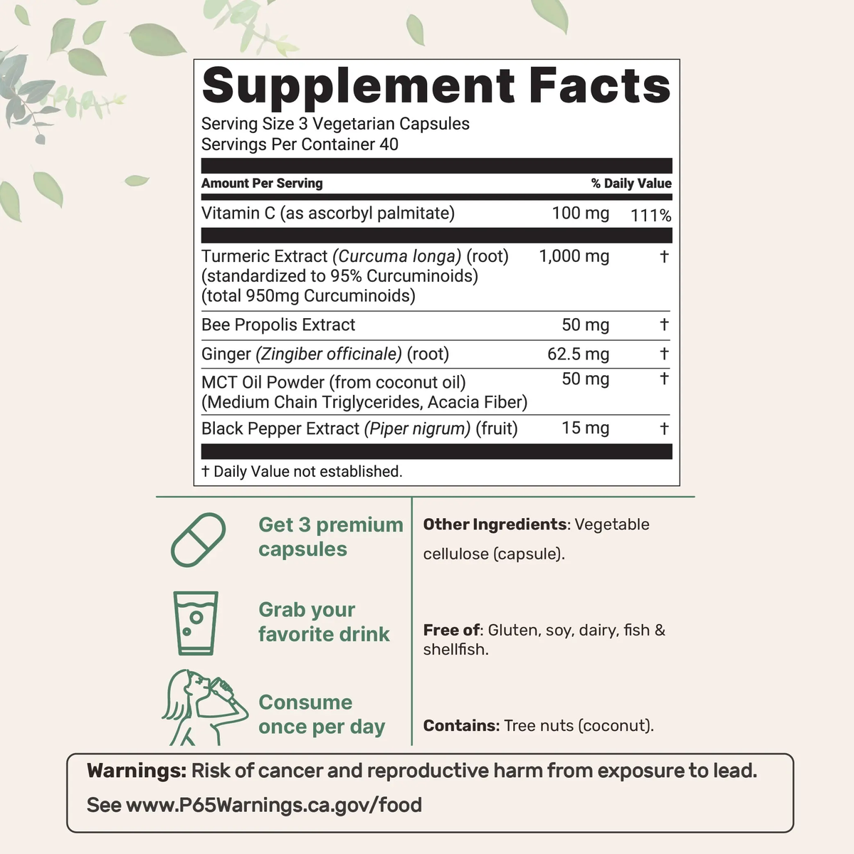 Turmeric Curcumin 1000mg — 95% Curcuminoids with Black Pepper (120 Capsules)