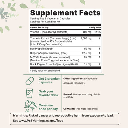 Turmeric Curcumin 1000mg — 95% Curcuminoids with Black Pepper (120 Capsules)